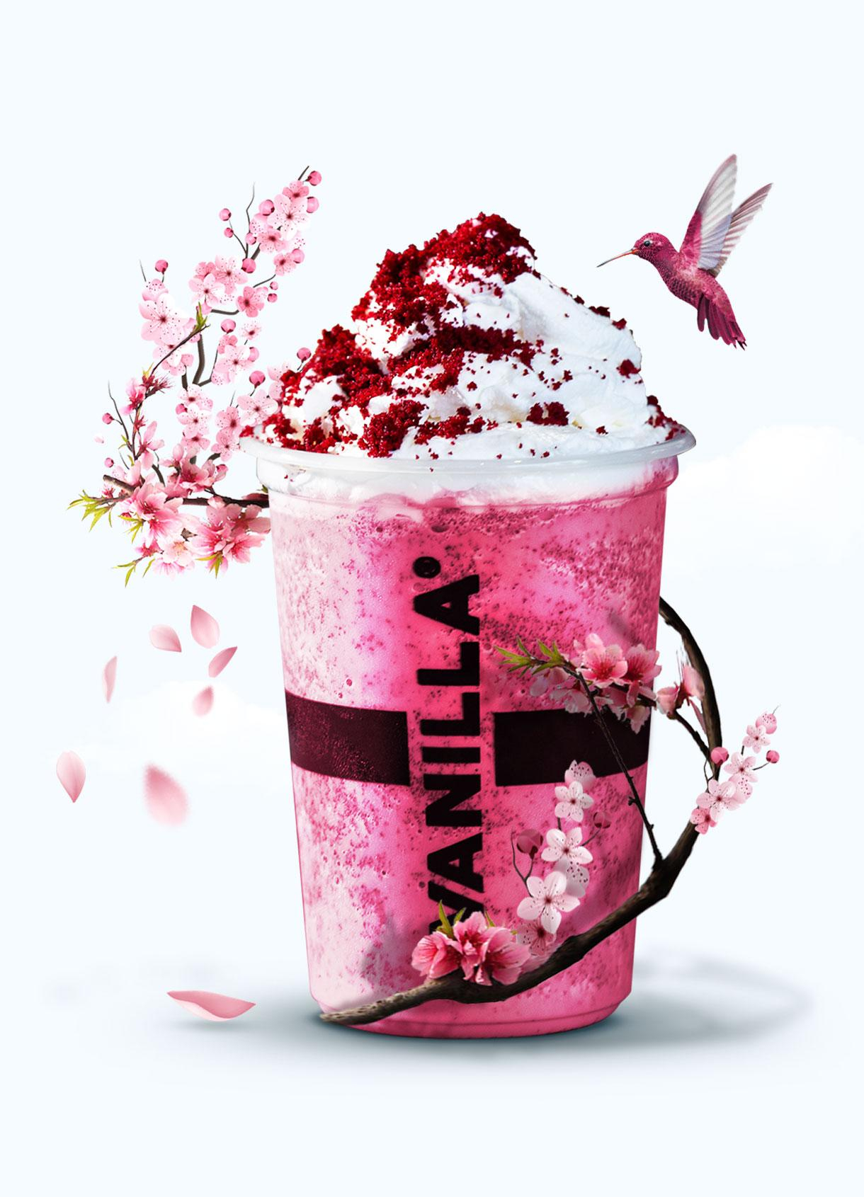 Vanilla™ Palestine brand creation